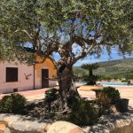 agriturismo8