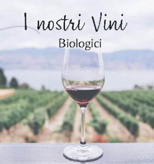 vini